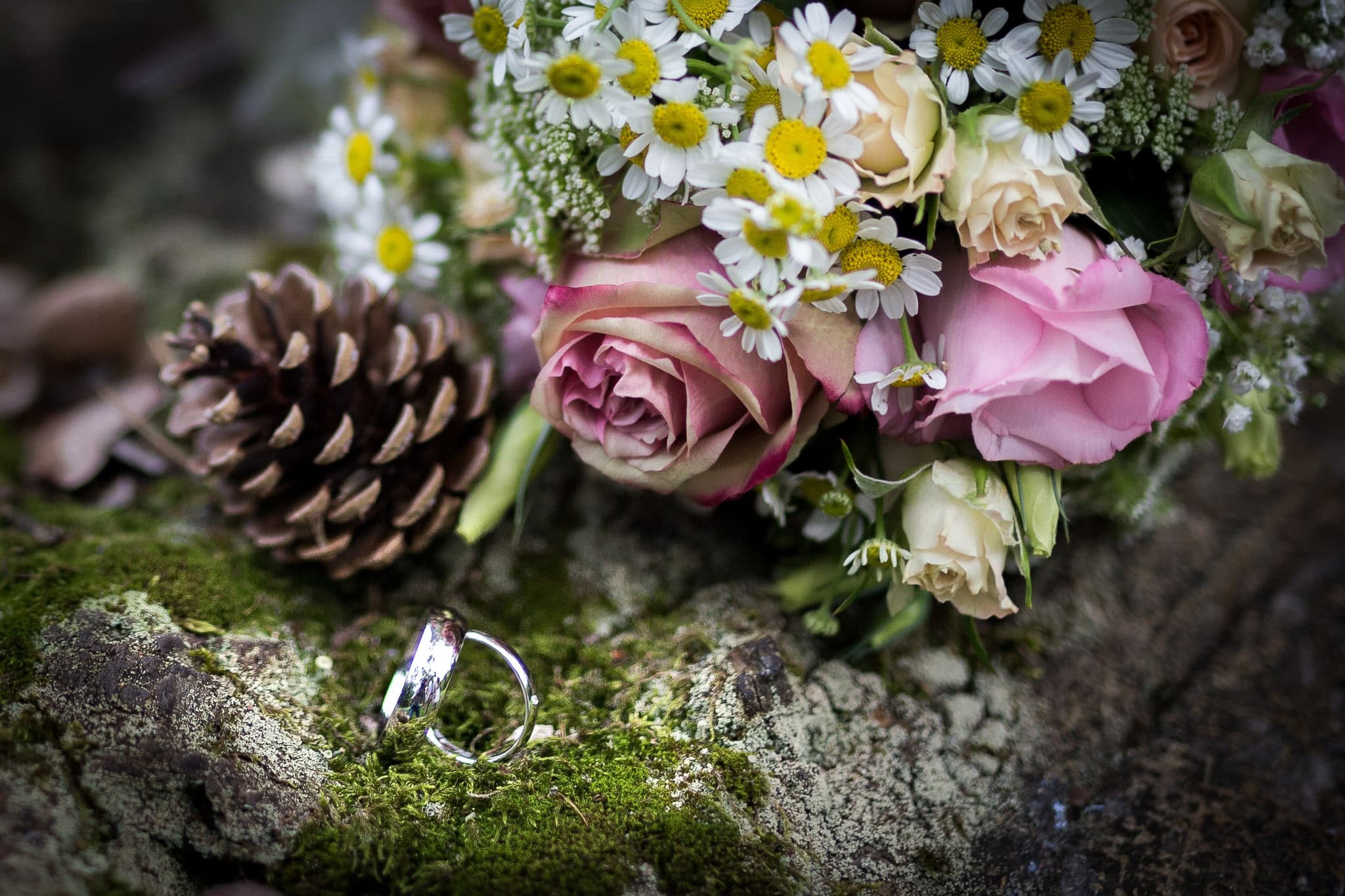 _landscape/Darmstadt-Forest-Classic-Style-Summer-Wedding-08.jpg
