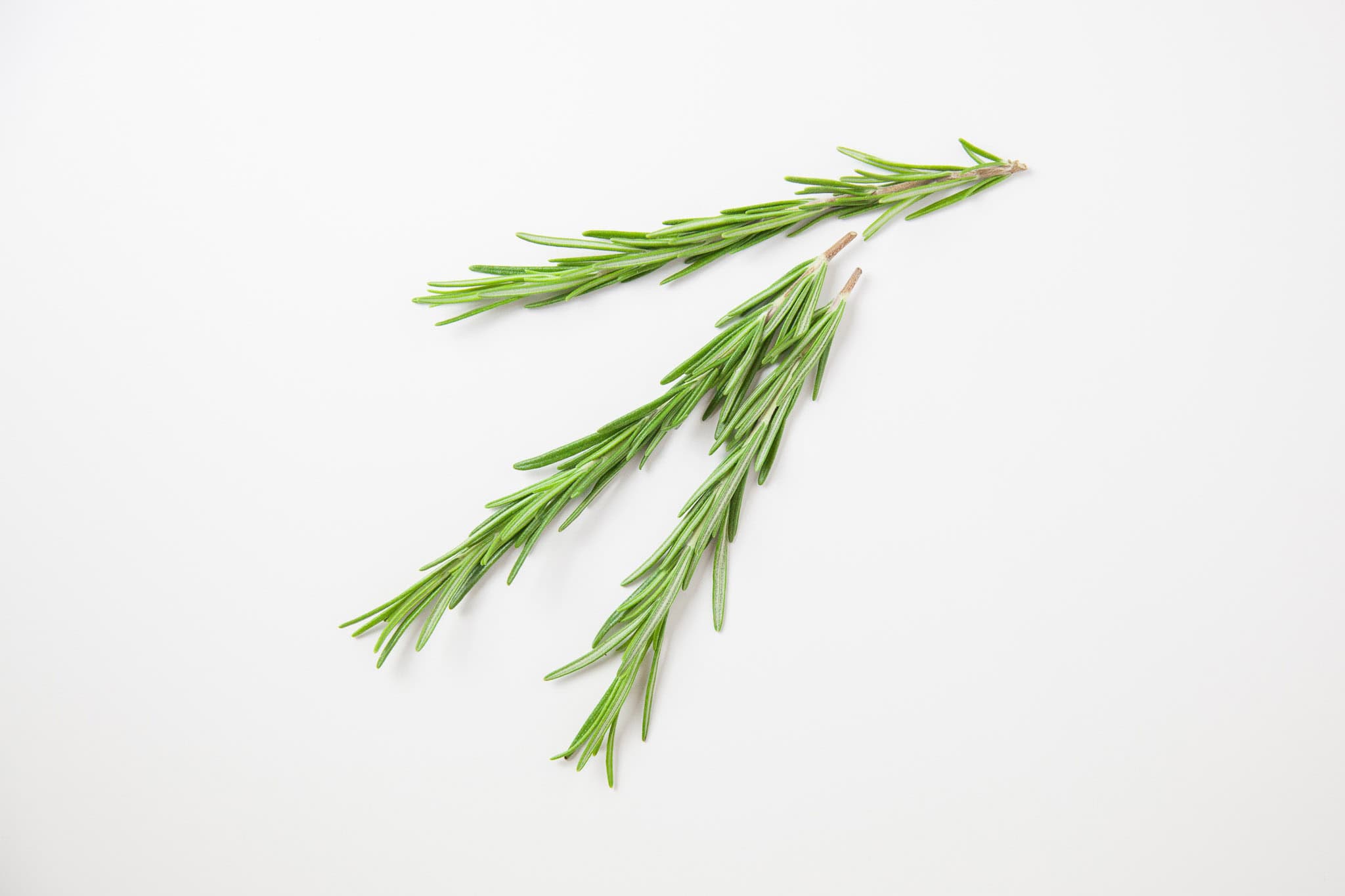 _landscape/fresh-rosemary-twigs-20.jpg