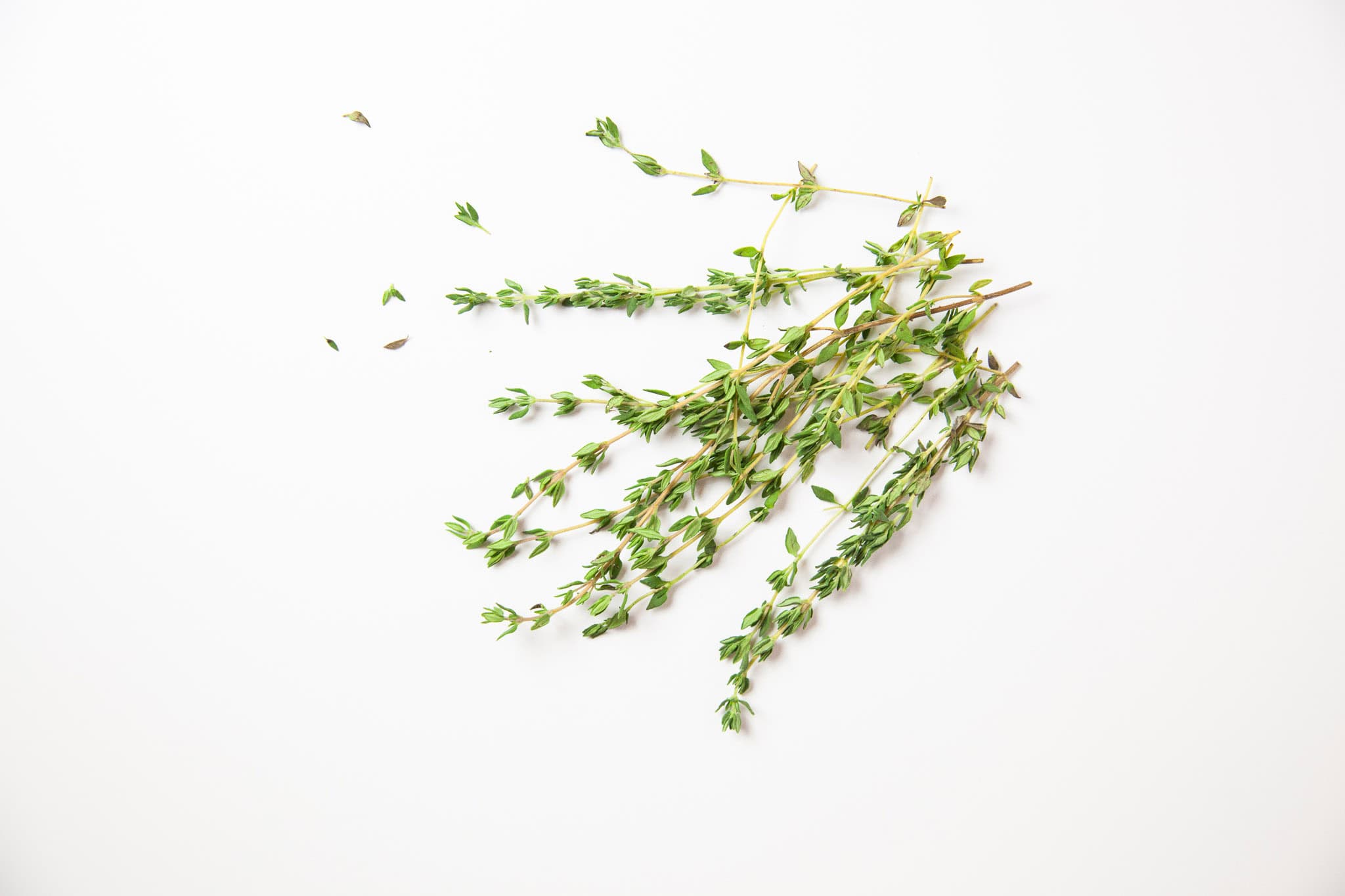 _landscape/fresh-thyme-isolated-21.jpg