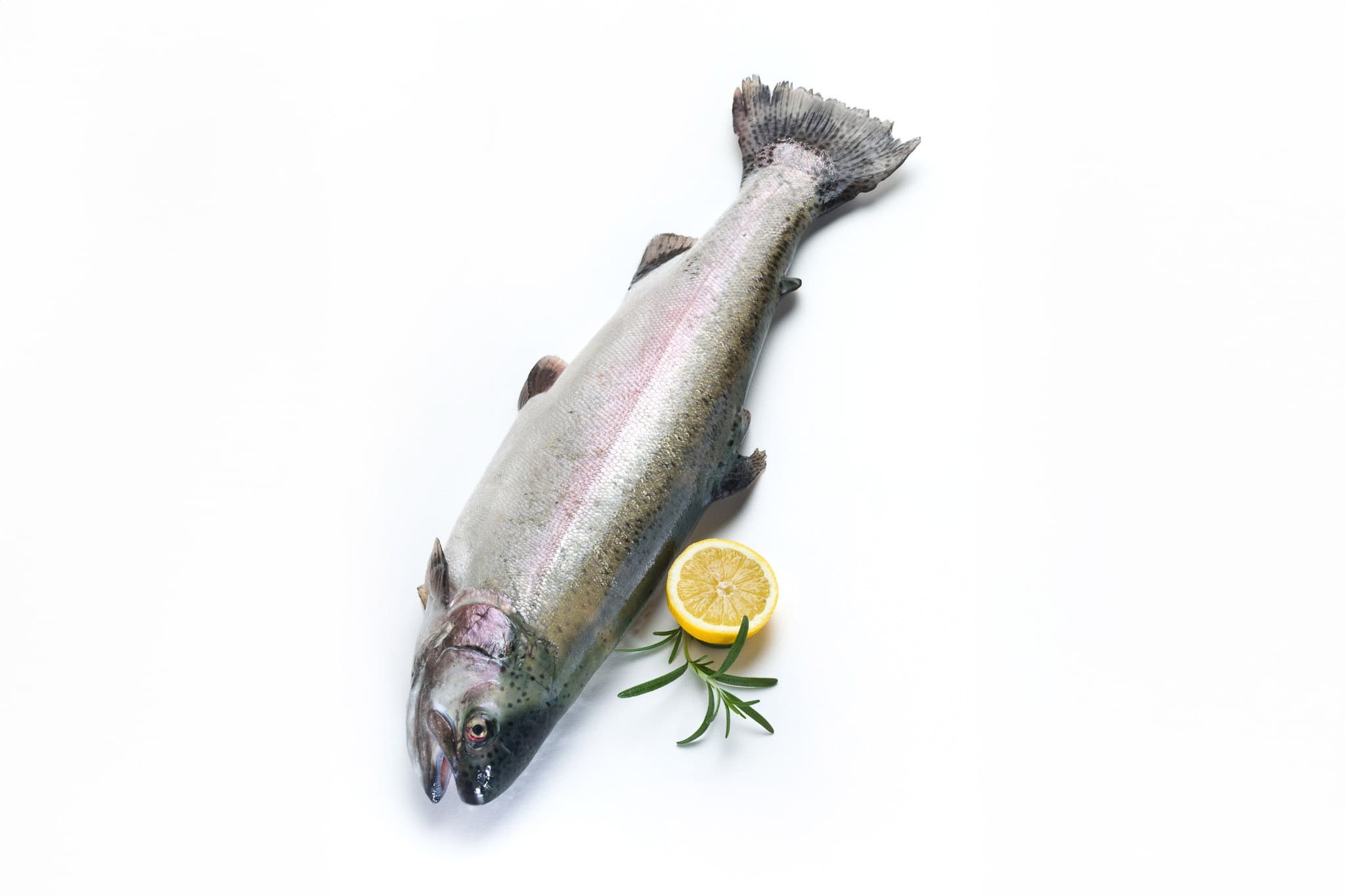 _landscape/fresh-trout-fish-53.jpg