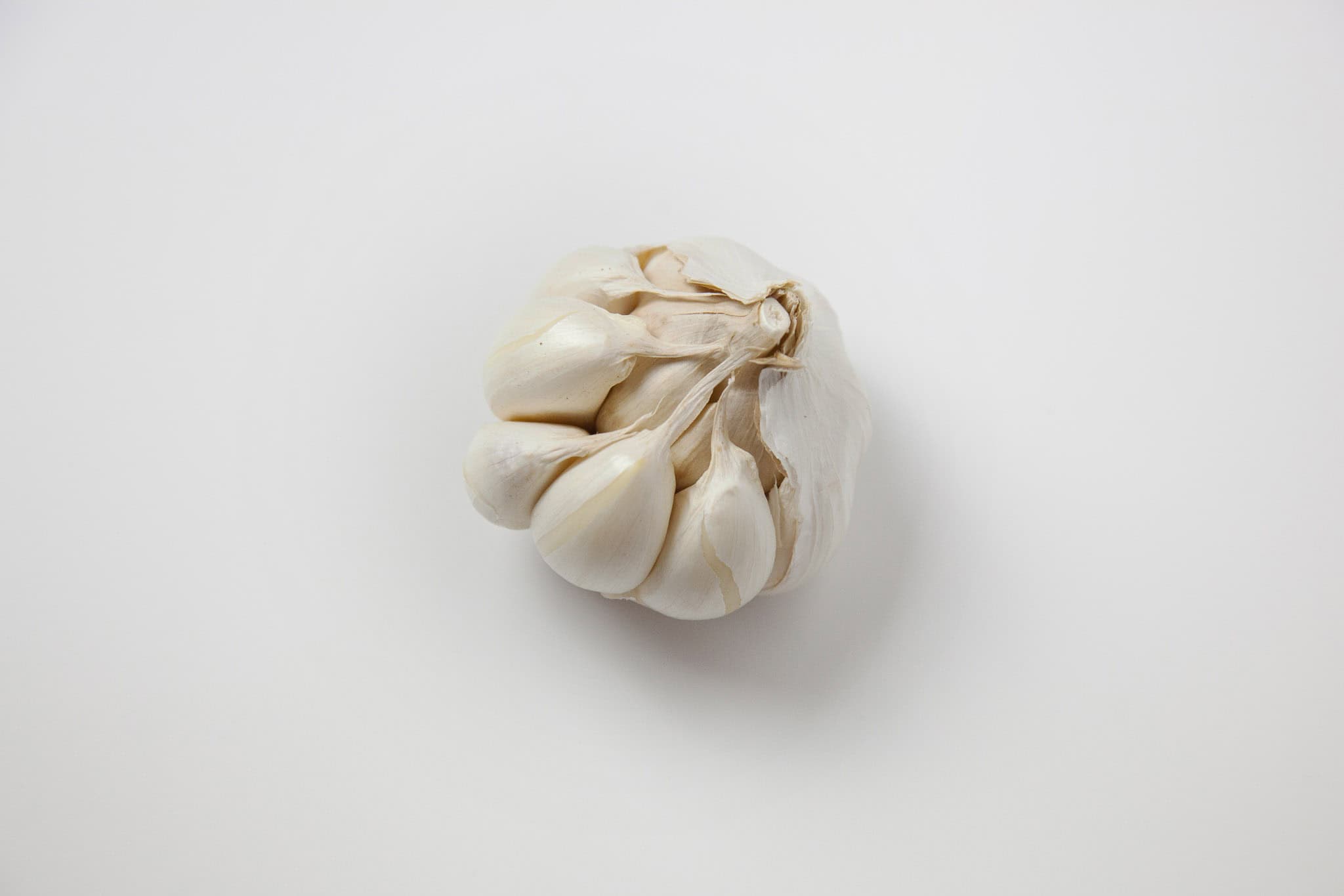 _landscape/garlic-clove-isolated-28.jpg