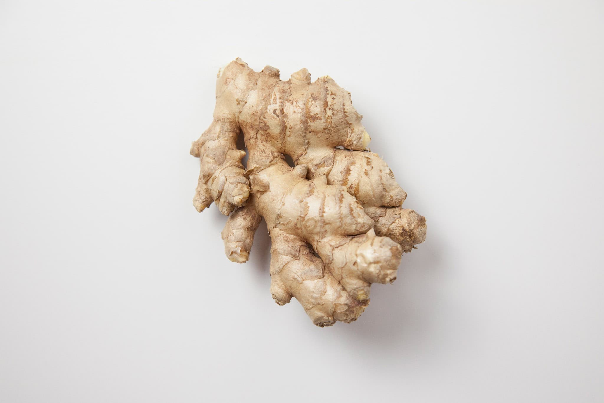 _landscape/ginger-root-isolated-17.jpg