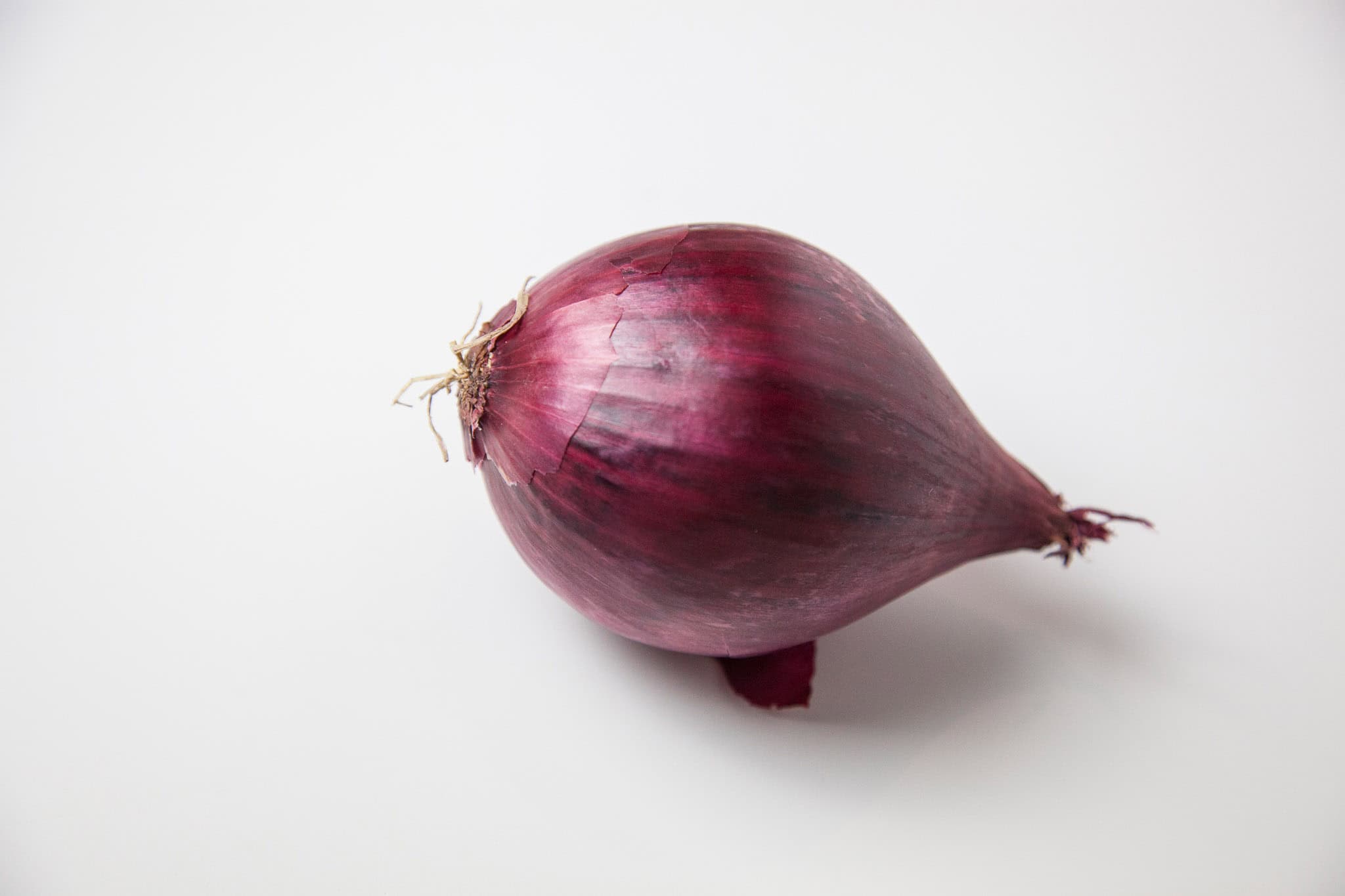 _landscape/onion-isolated-18.jpg