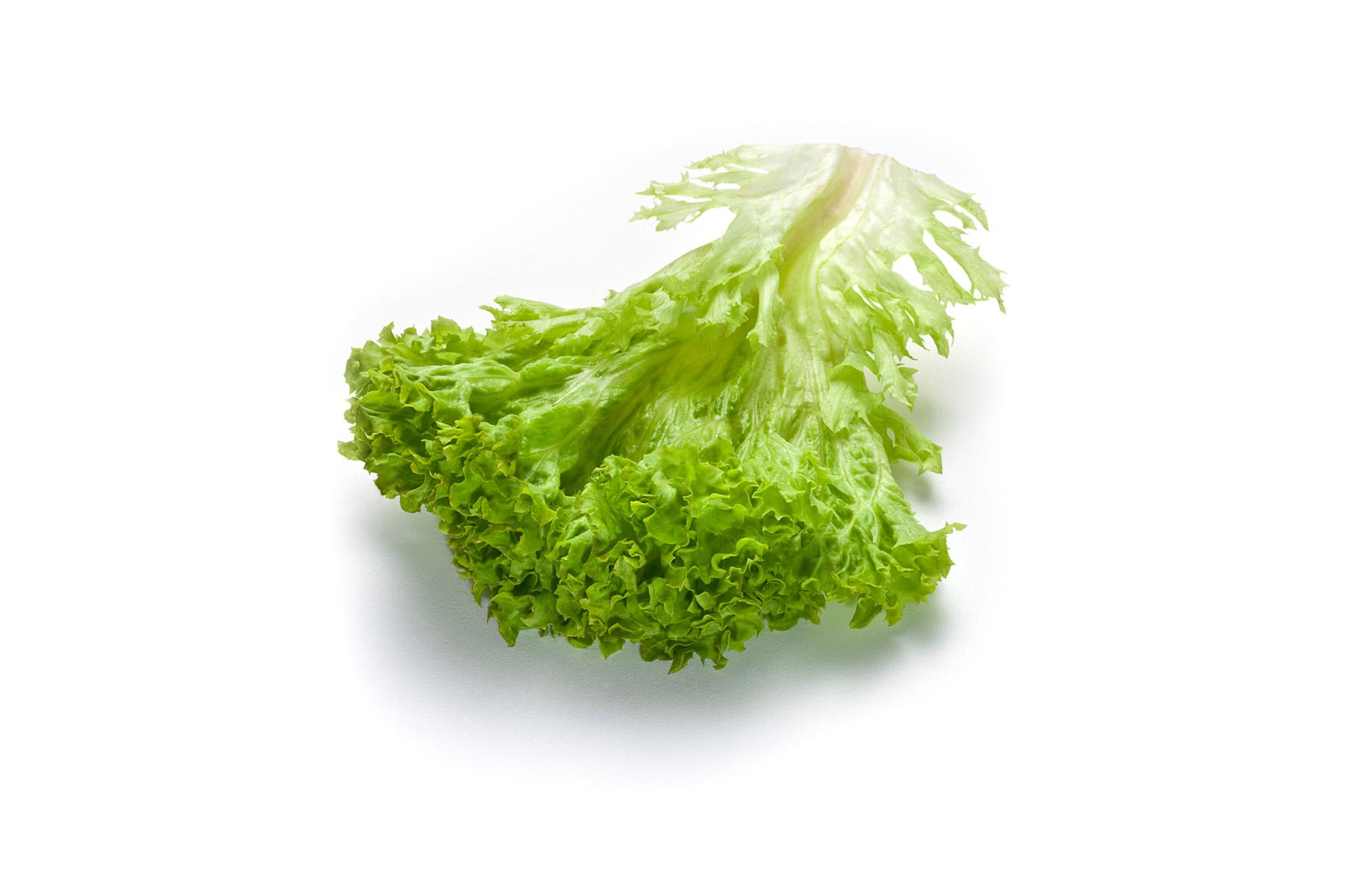 _landscape/single-crispy-green-lettuce-leave-57.jpg