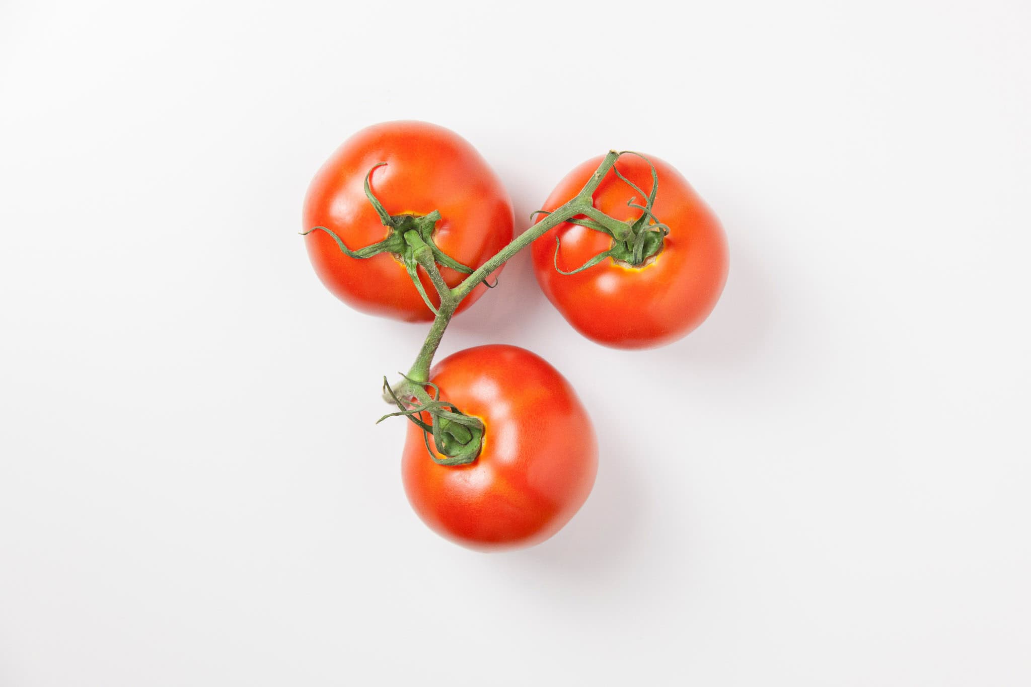 _landscape/tomatoes-isolated-30.jpg