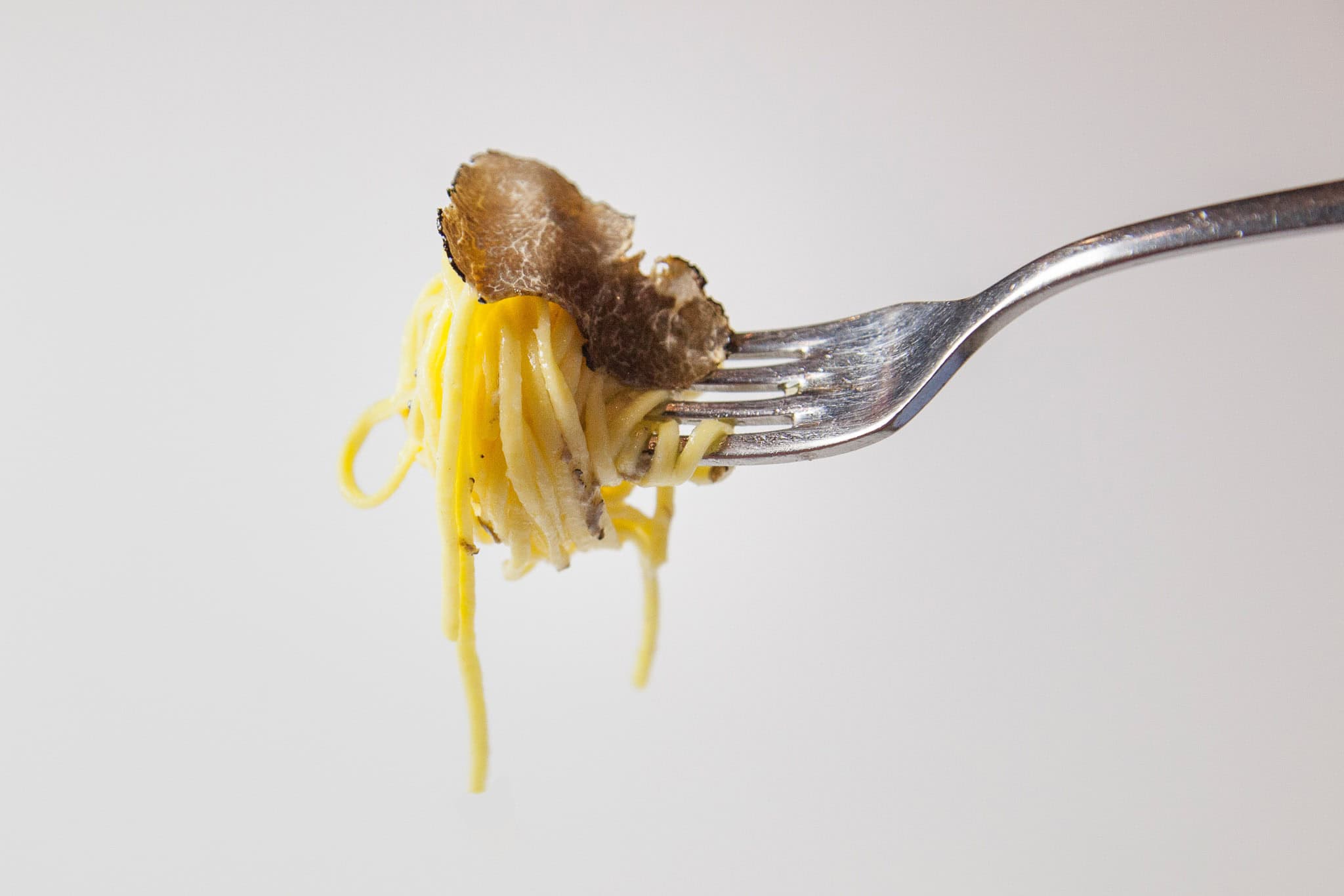 _landscape/truffle-spaghetti-on-fork-33.jpg