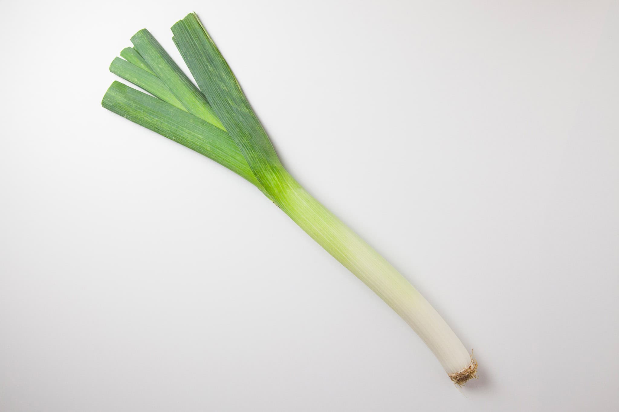 _landscape/whole-fresh-leek-isolated-26.jpg